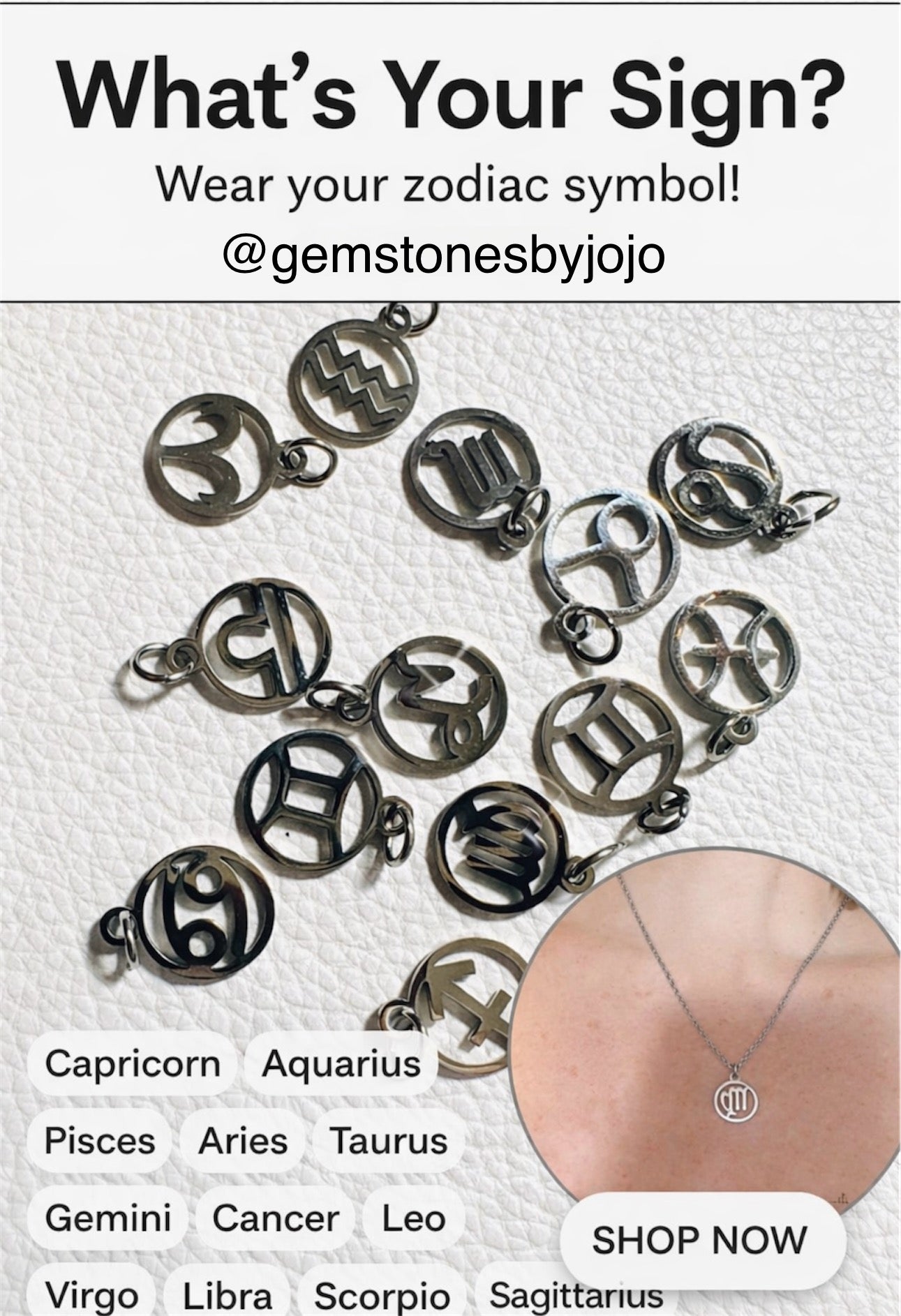 Zodiac stainless steel necklace