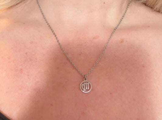 Zodiac stainless steel necklace