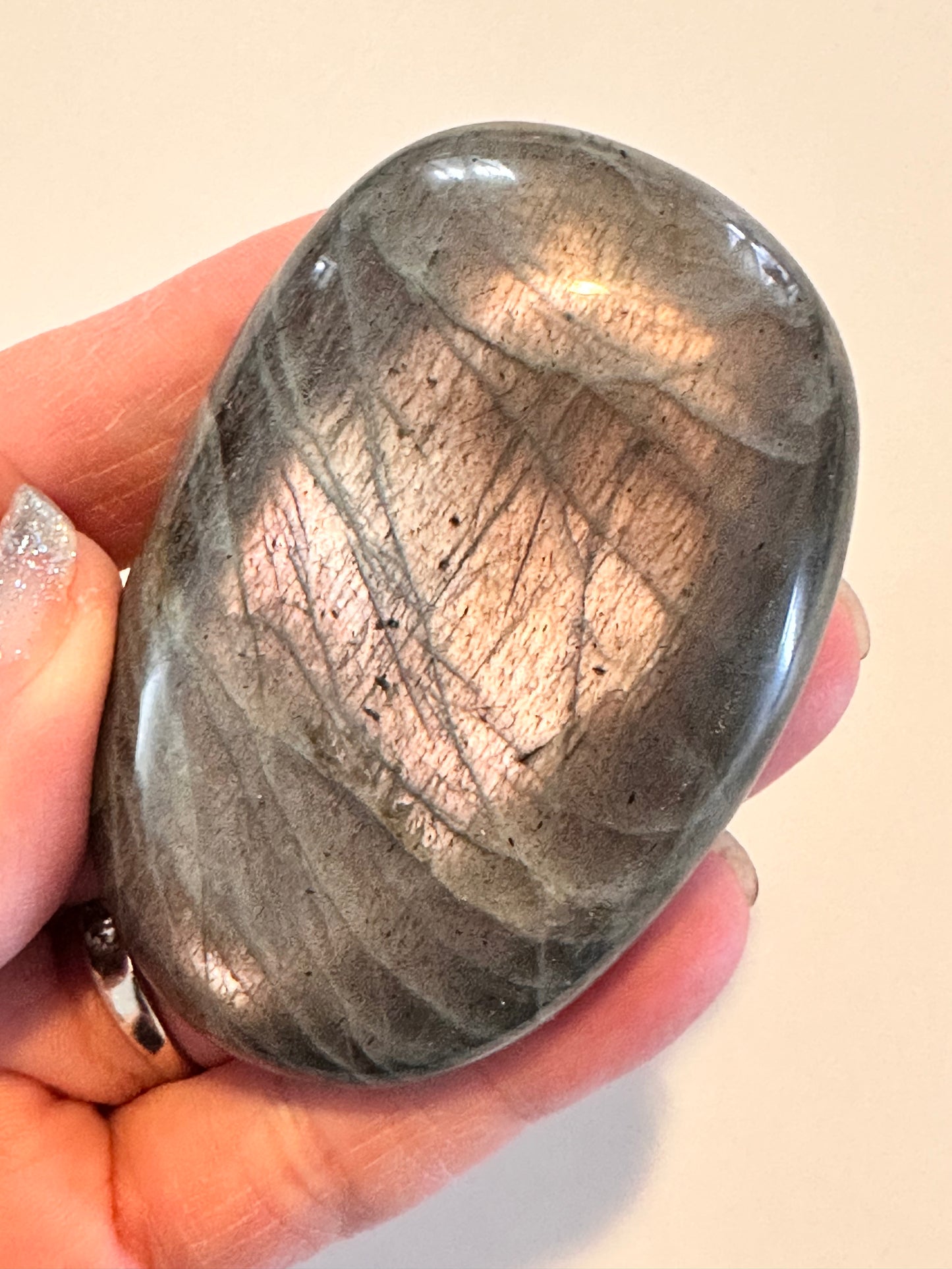 Crystal Palm