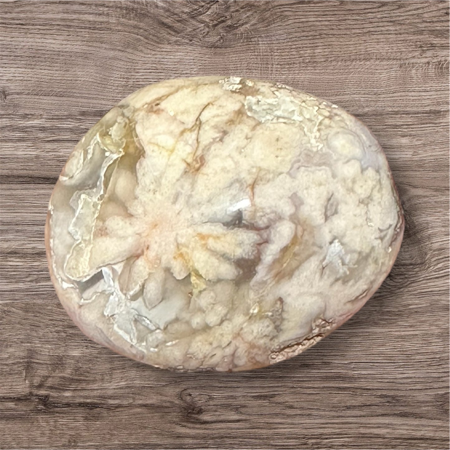 Crystal Palm