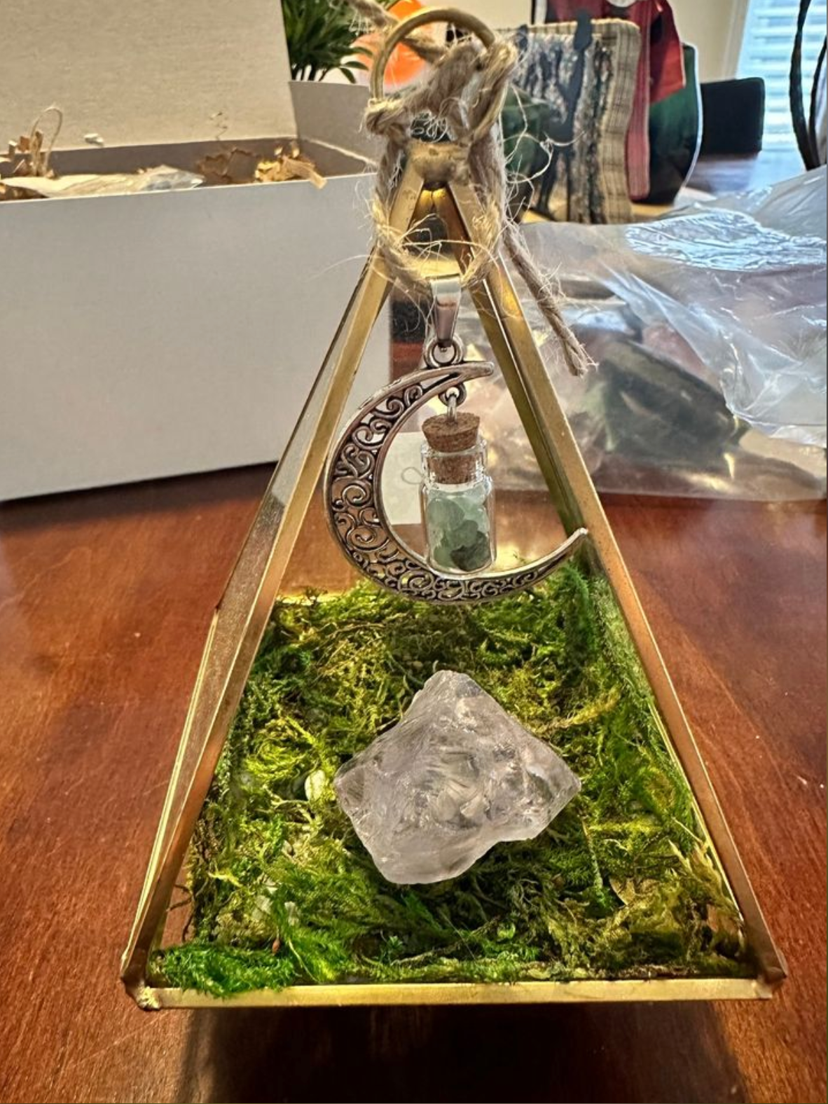 Crystal build it yourself terrarium