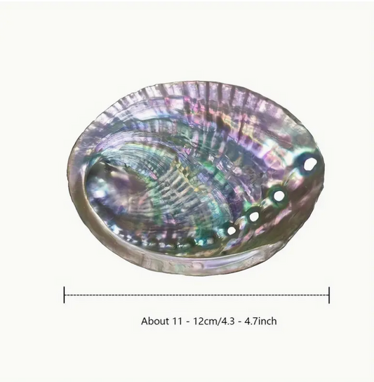Abalone Shell Incense Burner: 4-5 inch