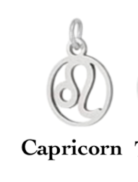 Zodiac stainless steel necklace