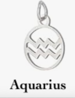 Zodiac stainless steel necklace