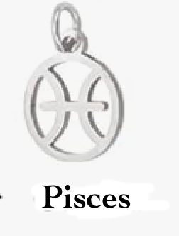 Zodiac stainless steel necklace