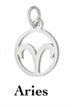 Zodiac stainless steel necklace