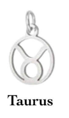 Zodiac stainless steel necklace