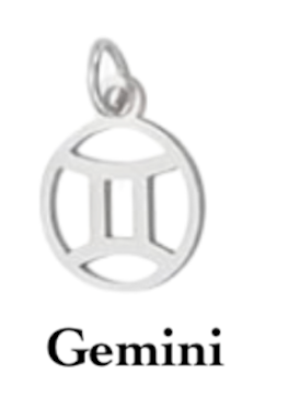 Zodiac stainless steel necklace