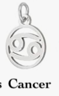 Zodiac stainless steel necklace