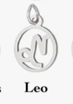 Zodiac stainless steel necklace