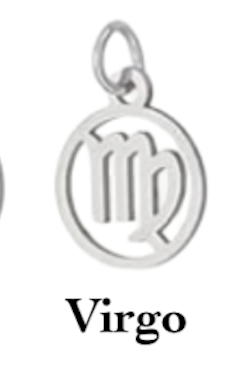 Zodiac stainless steel necklace