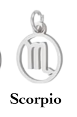 Zodiac stainless steel necklace