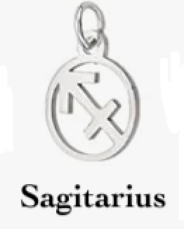 Zodiac stainless steel necklace
